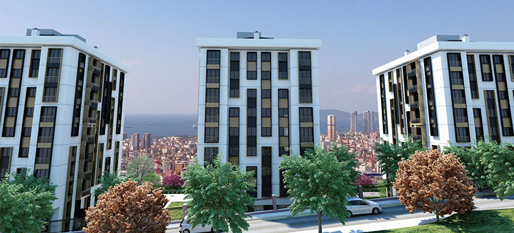 Project image 10