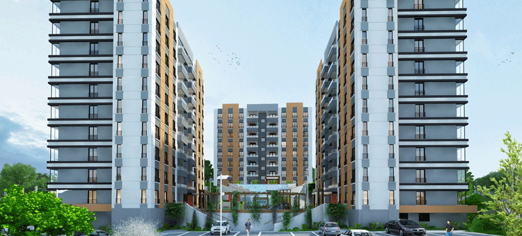 Project image 11