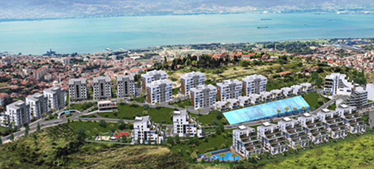 Project image 16