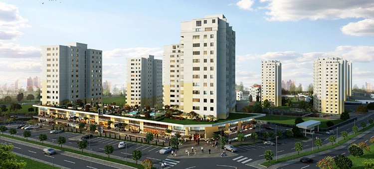Project image 14
