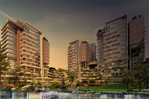 Project image 16