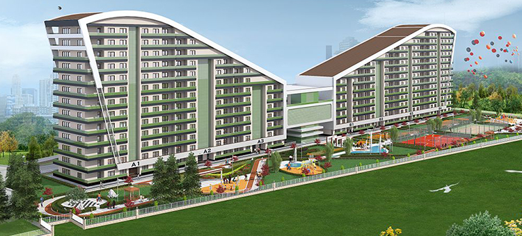 Project image 25