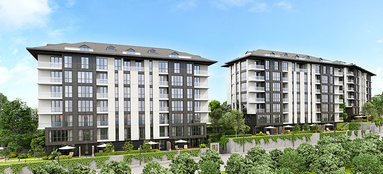 Project image 15