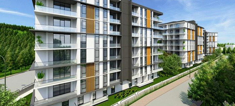 Project image 10
