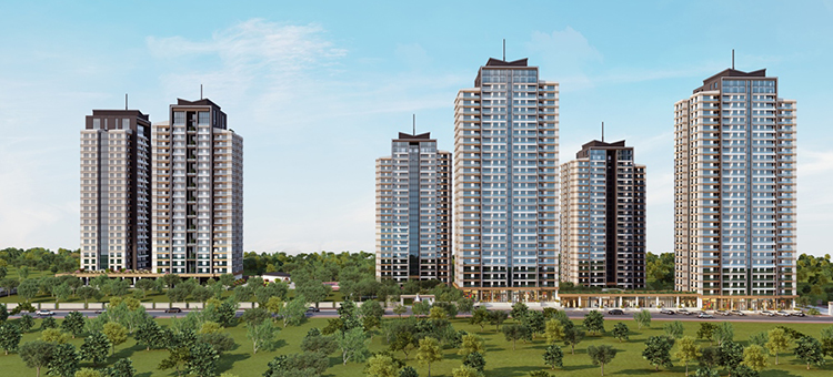 Project image 19