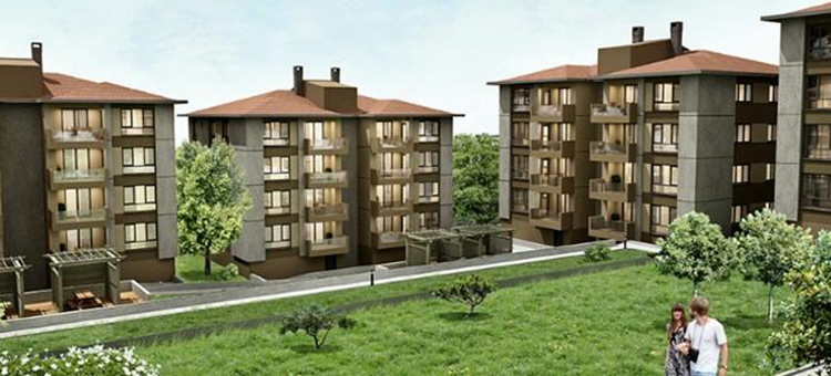 Project image 12
