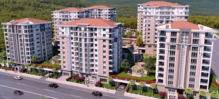 Project image 19