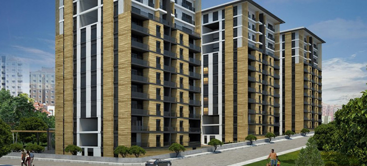 Project image 22