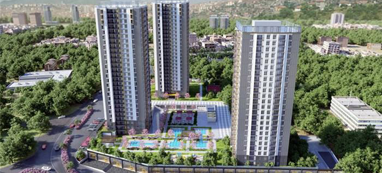 Project image 14