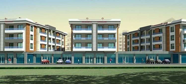 Project image 10