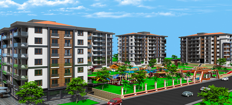 Project image 16