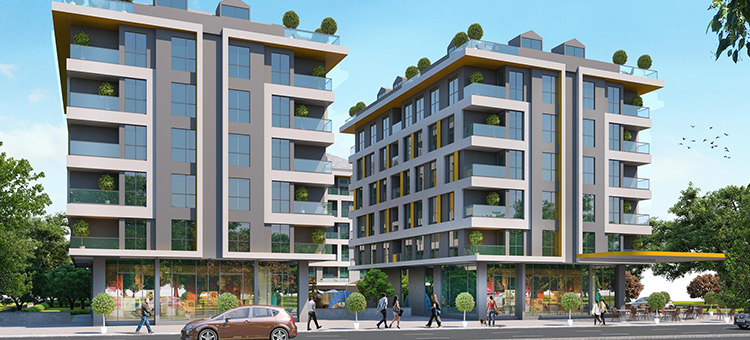 Project image 14