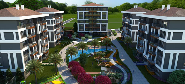 Project image 24