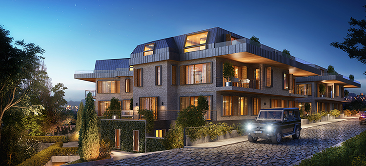 Project image 9