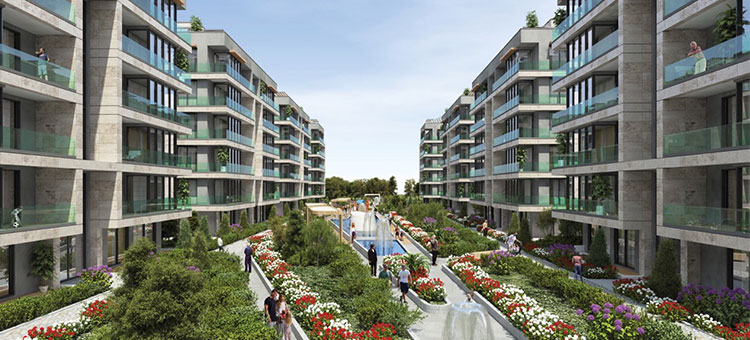 Project image 10