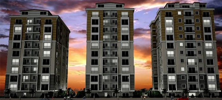 Project image 13