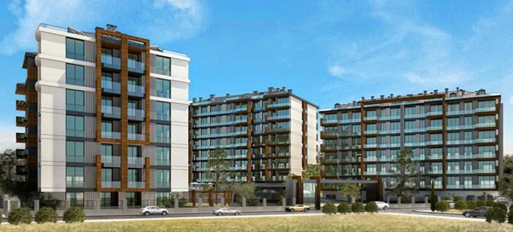 Project image 19