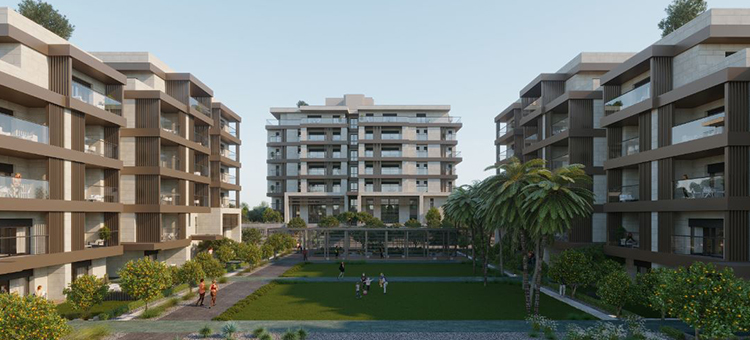 Project image 13