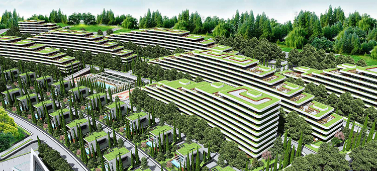 Project image 10