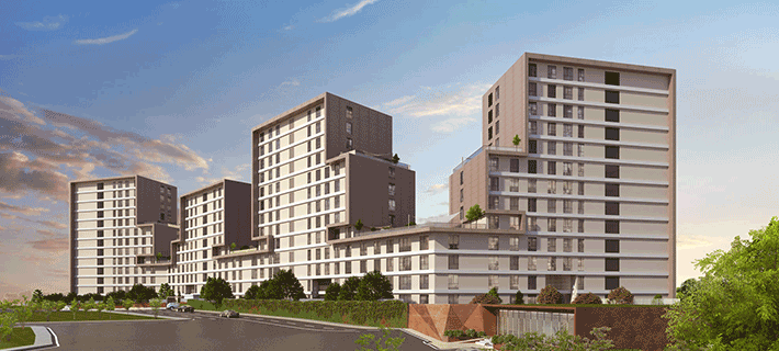 Project image 10