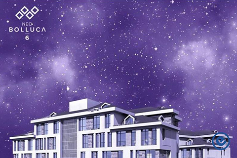 Neo Bolluca 6