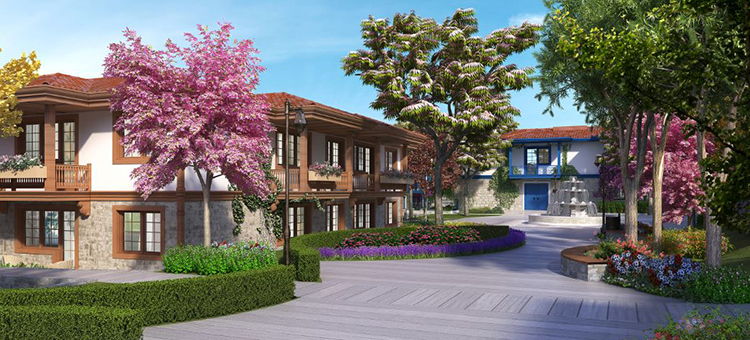 Project image 9