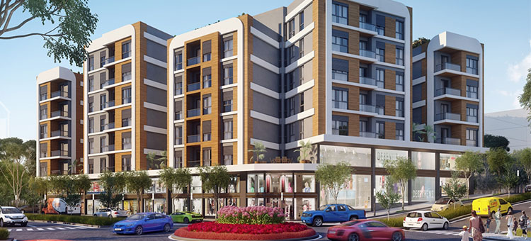 Project image 17