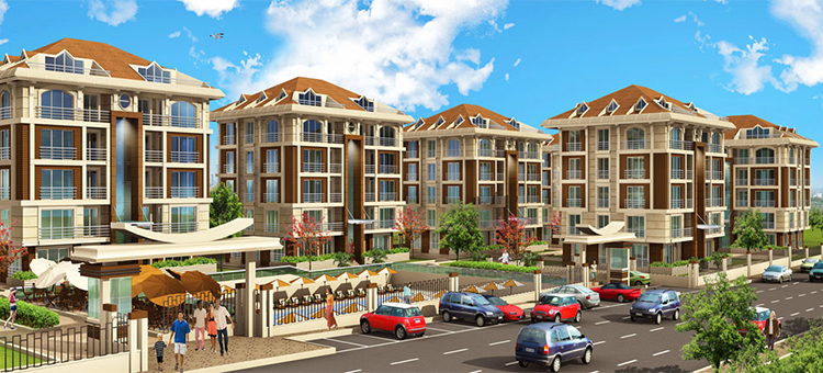 Project image 11