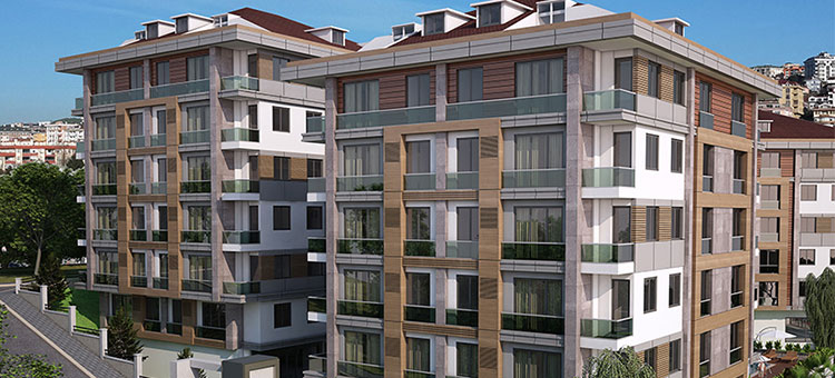 Project image 9