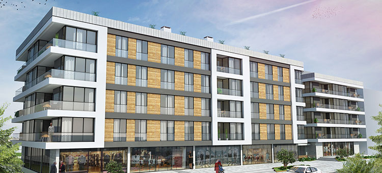 Project image 15