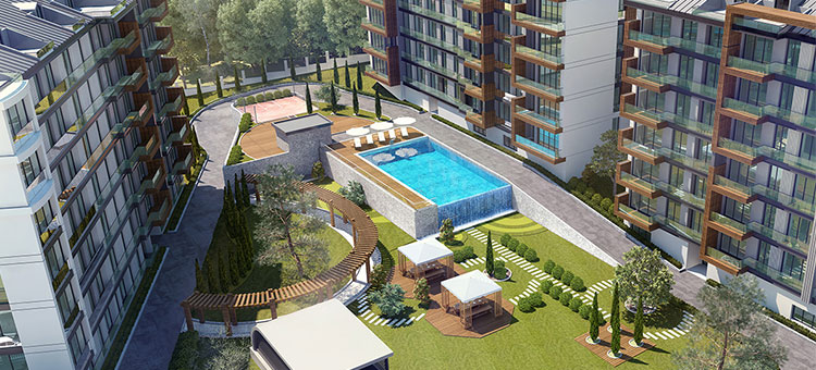 Project image 19
