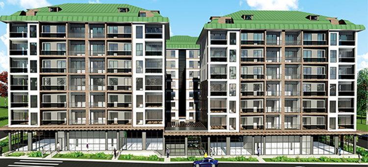 Project image 19