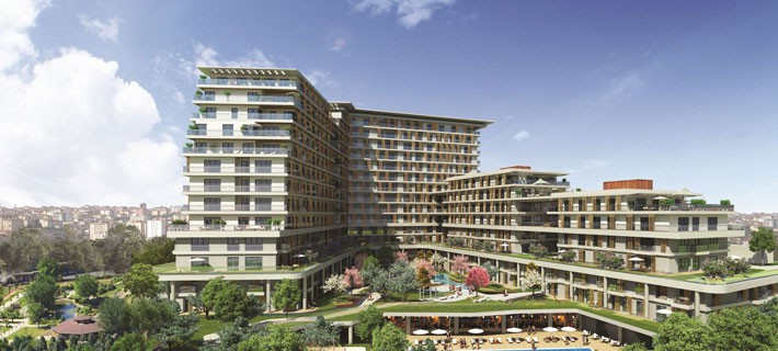 Project image 11