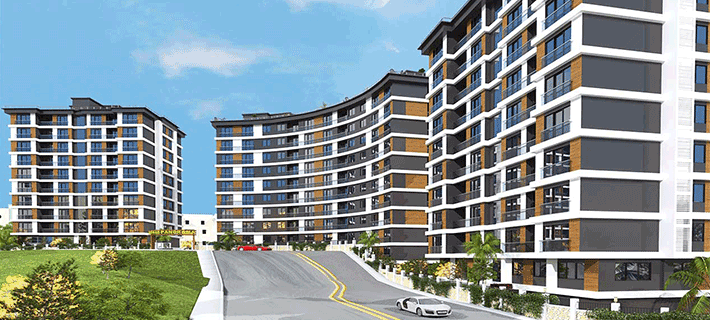 Project image 11