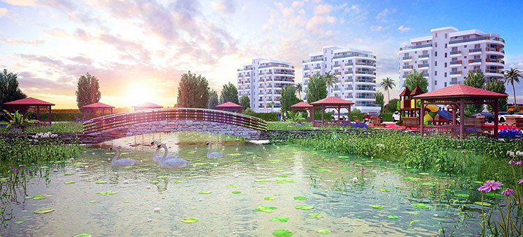 Project image 19