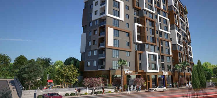 Project image 13