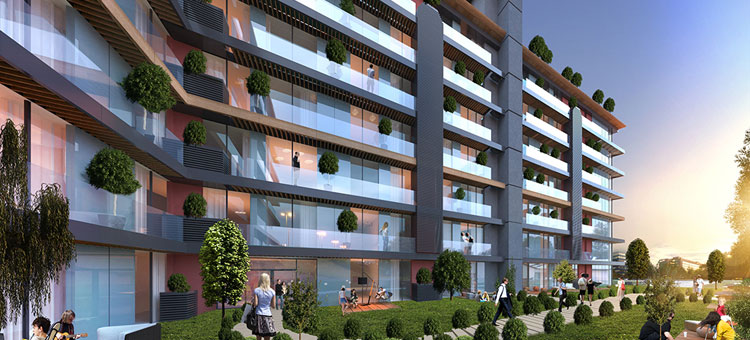 Project image 15