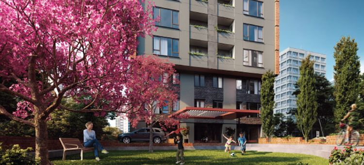 Project image 15