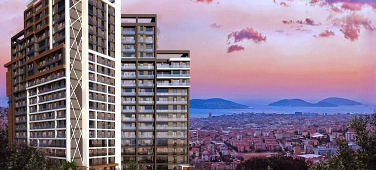 Project image 13