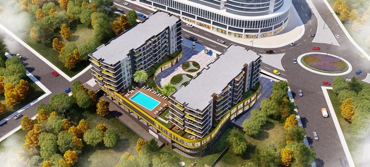Project image 15