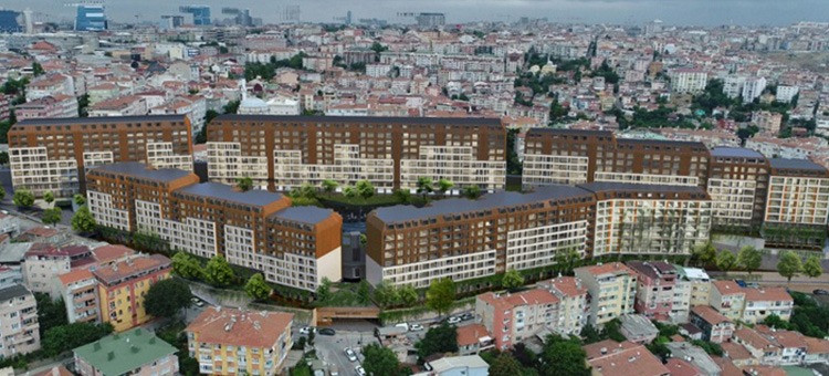 Project image 11
