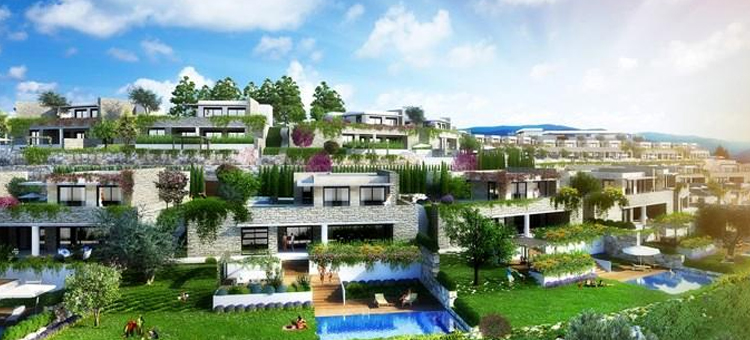 Project image 15