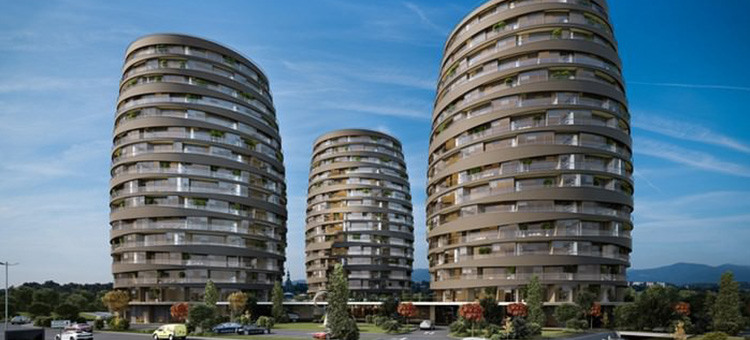 Project image 11