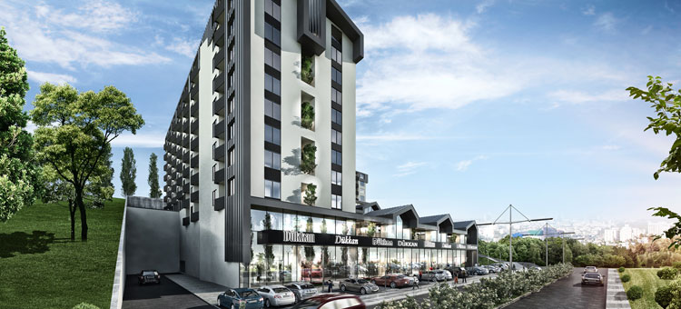 Project image 13