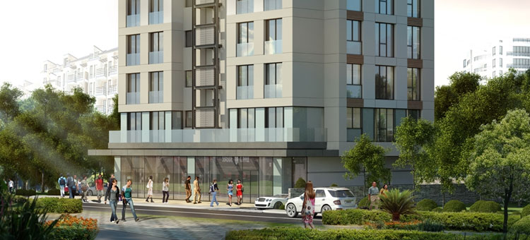 Project image 11