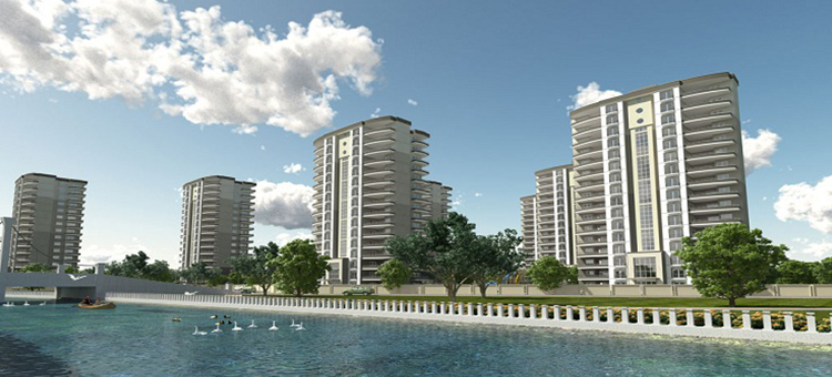 Project image 19