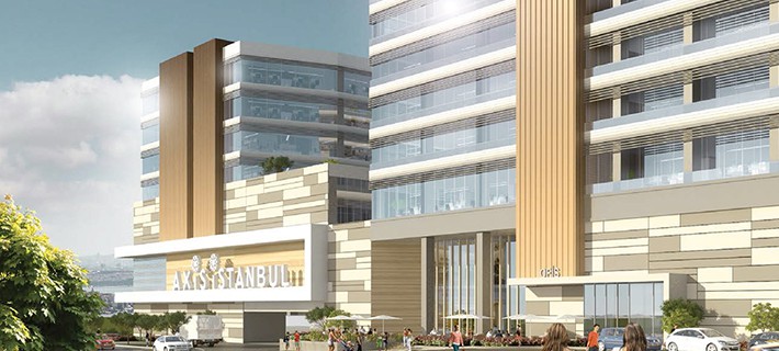 Project image 10