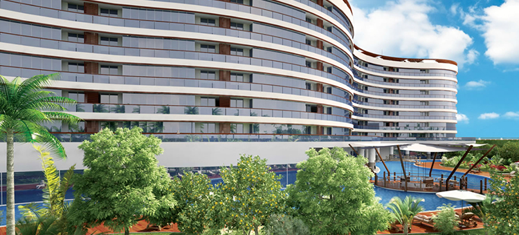 Project image 15