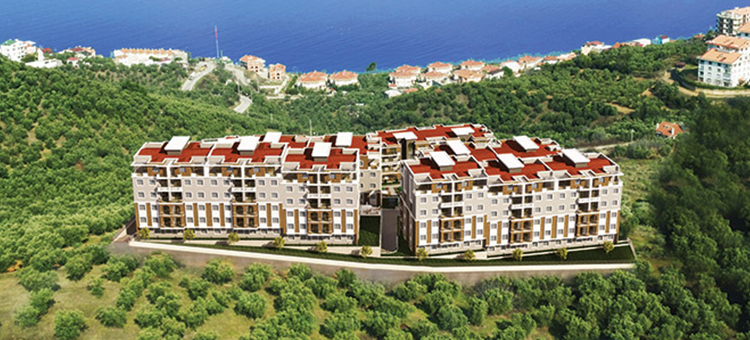 Project image 11