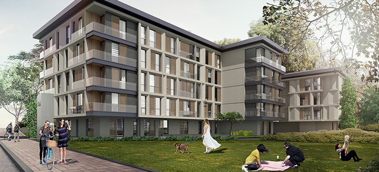 Project image 15